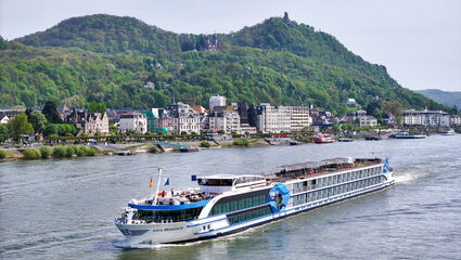 Cruise på Mosel – vin, slott og småbyer