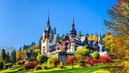 Transilvania – Fra Beograd til Bucuresti