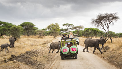 Safari til Serengeti med Zanzibar
