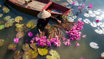 Vakre Vietnam 