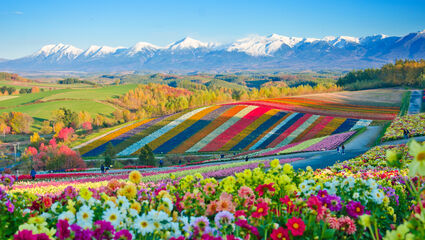 Hokkaido