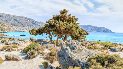 Fottur på vestre Kreta